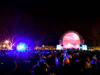 Central Park a Capodanno